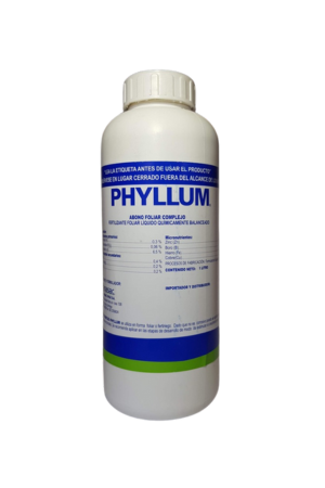 Phyllum